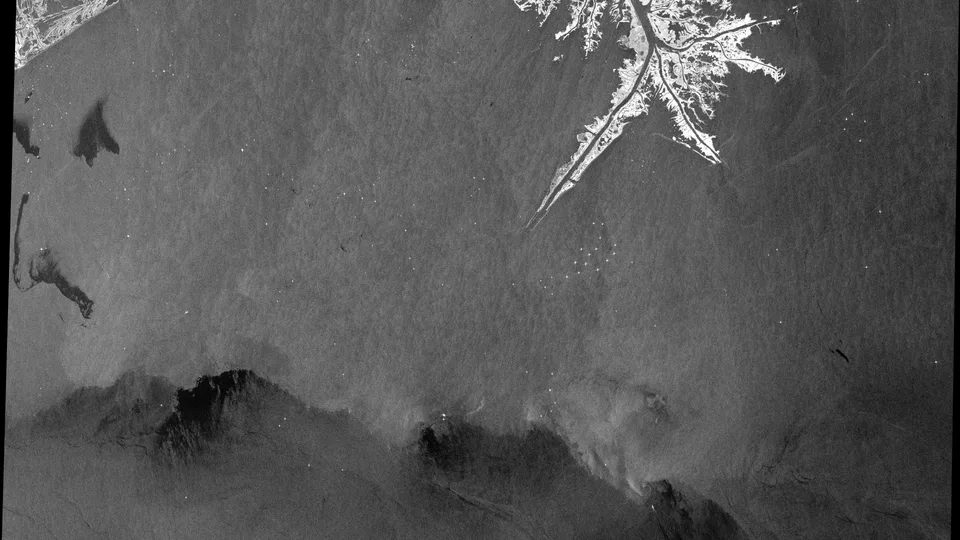 Black and white radar satellite image of the Gulf of Mexico showing dark slick-like streaks across rougher gray water.