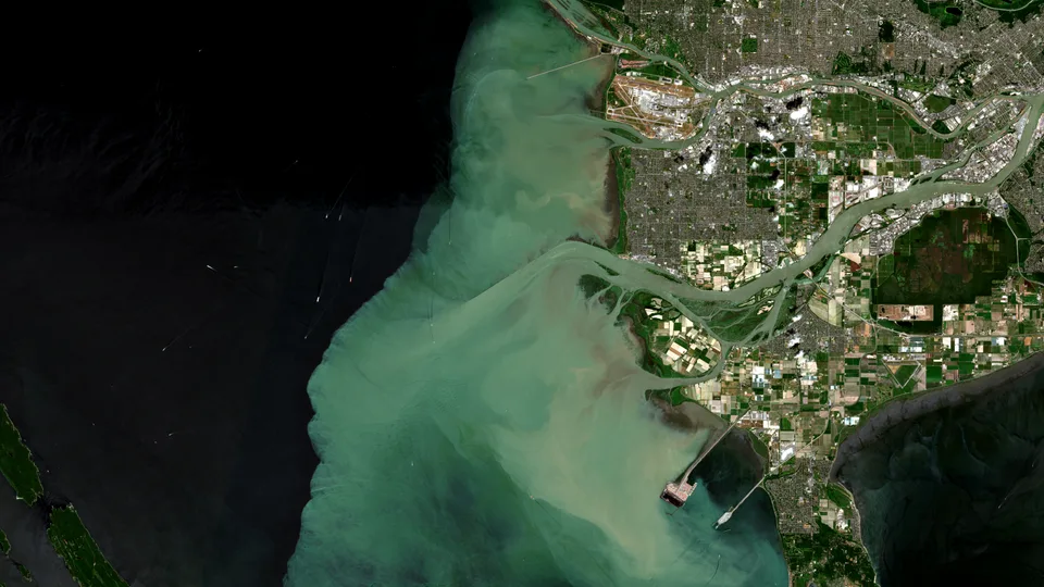 Satellite image of the Fraser River delta near Vancouver, with pale turquoise sediment-rich water spreading into dark coastal water beside islands, river channels, and urban shoreline.