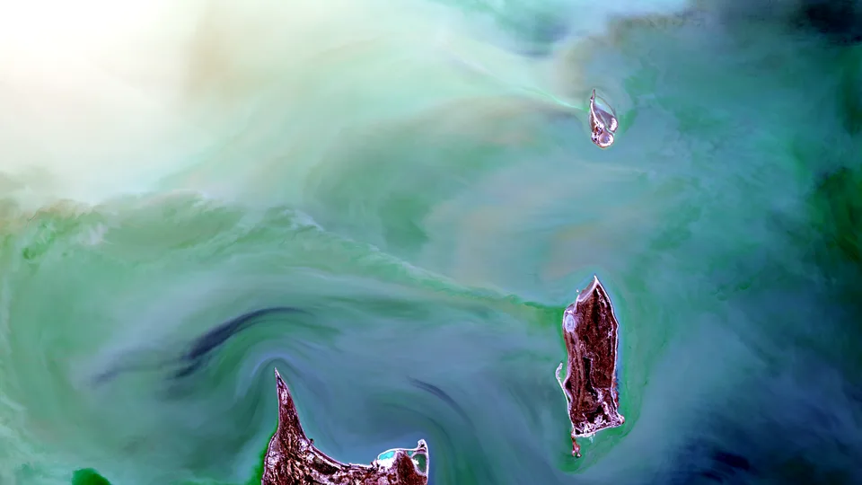 A satellite view of pale salt flats, green shallow water, and reddish-brown islands in Kati Thanda-Lake Eyre, Australia.